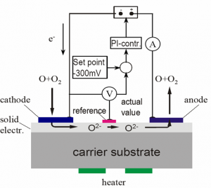 Amperometric principle for the AO sensor. (c) TU Dresden.